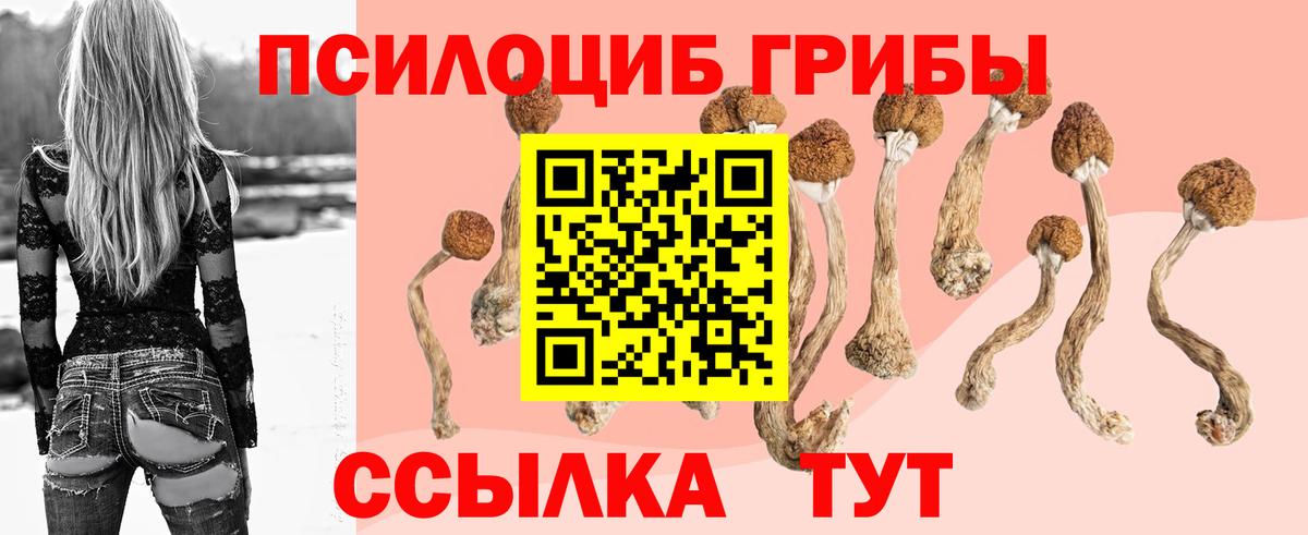 Галлюциногенные грибы Cubensis  купить  сайты  Зерноград  Вход с VPN 